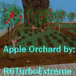 Apple Orchard