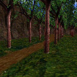 Forest Path