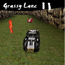 Grassy Lane II