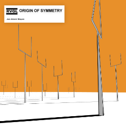 Origin of Symmetry