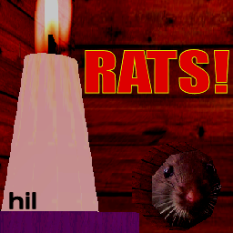 Rats!