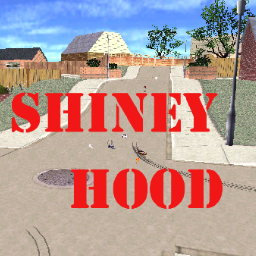 Shiney Hood