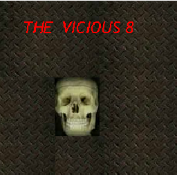 The Vicious 8