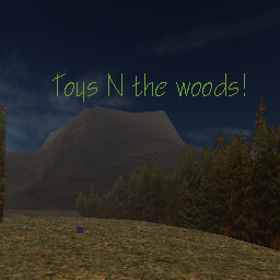 Toys N the woods