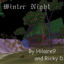 Winter Night